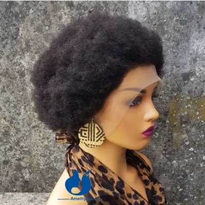 Afro Kinky Curly Lace Front Human Hair Wigs